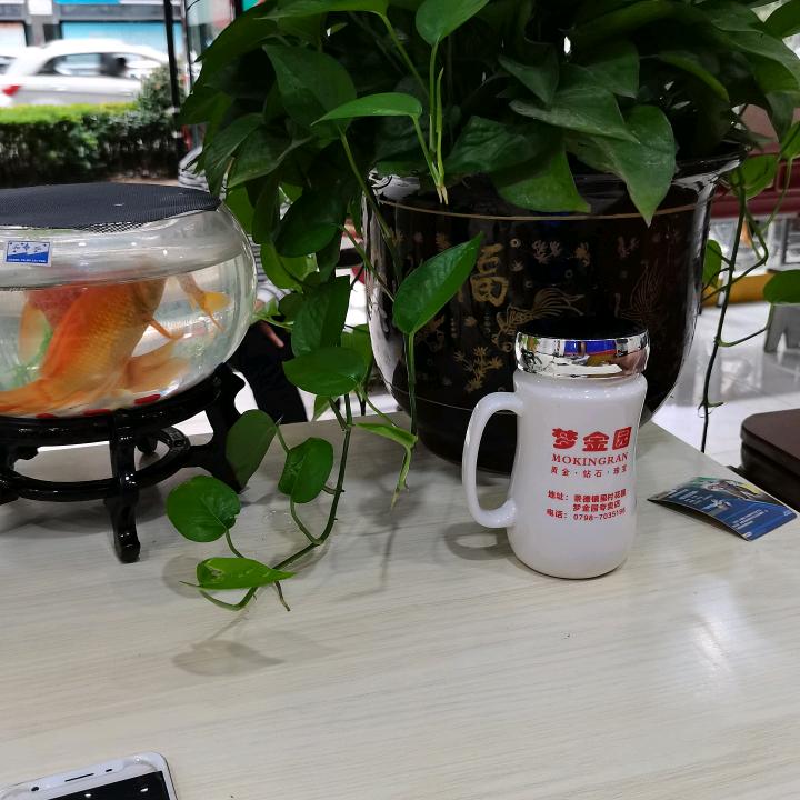雀康麻将机