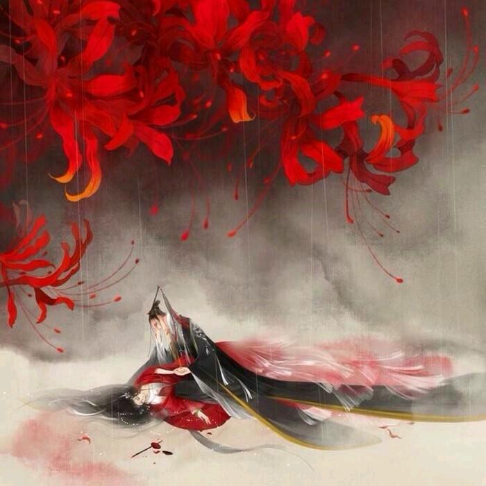 洛依☁
