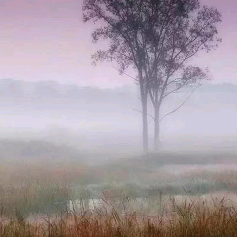 用户2292679815590秀秀