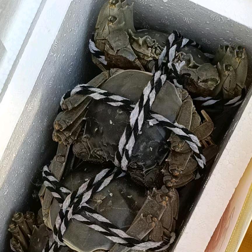 洪泽湖大闸蟹
