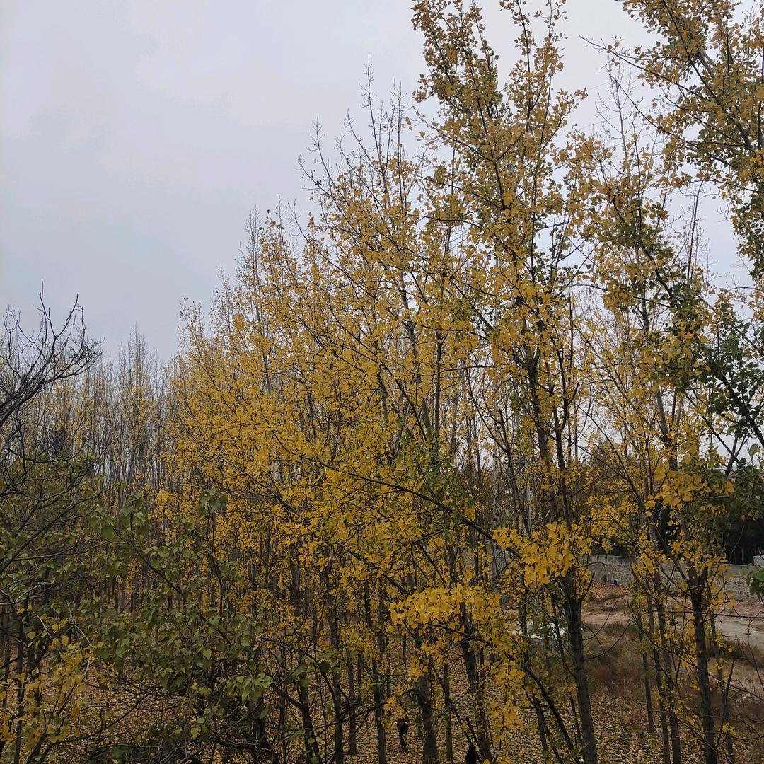 尽是过往