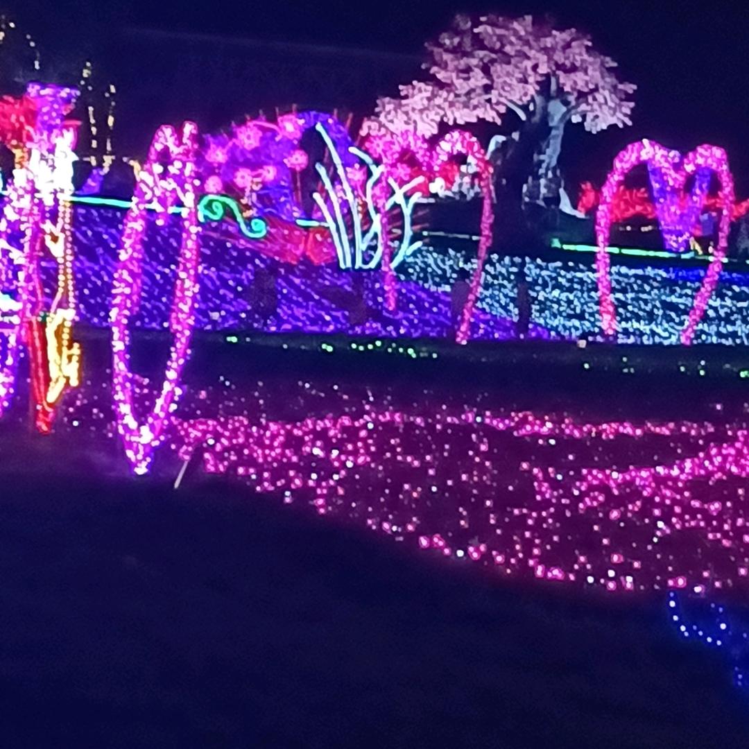 平平淡淡才是真