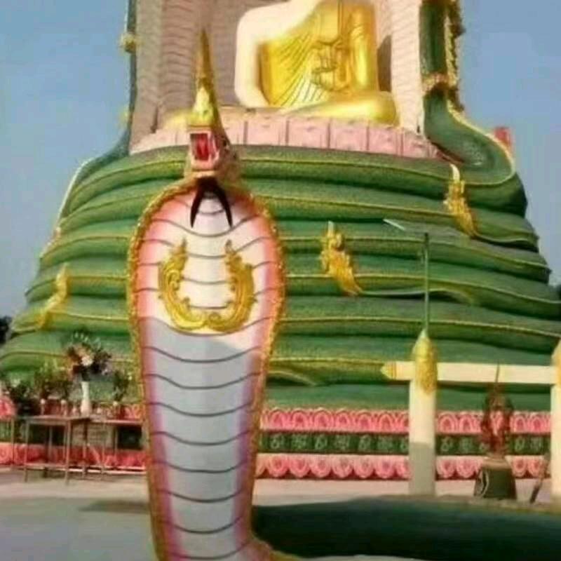 不要想起哥