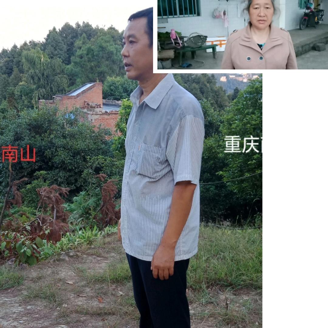 胡宗进