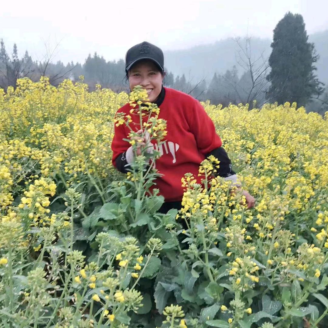 开心红玫瑰