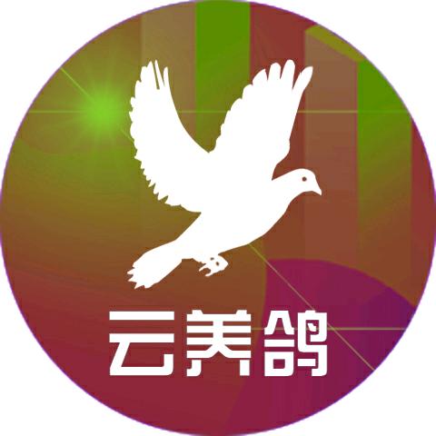 🌈博爱 | 云养鸽