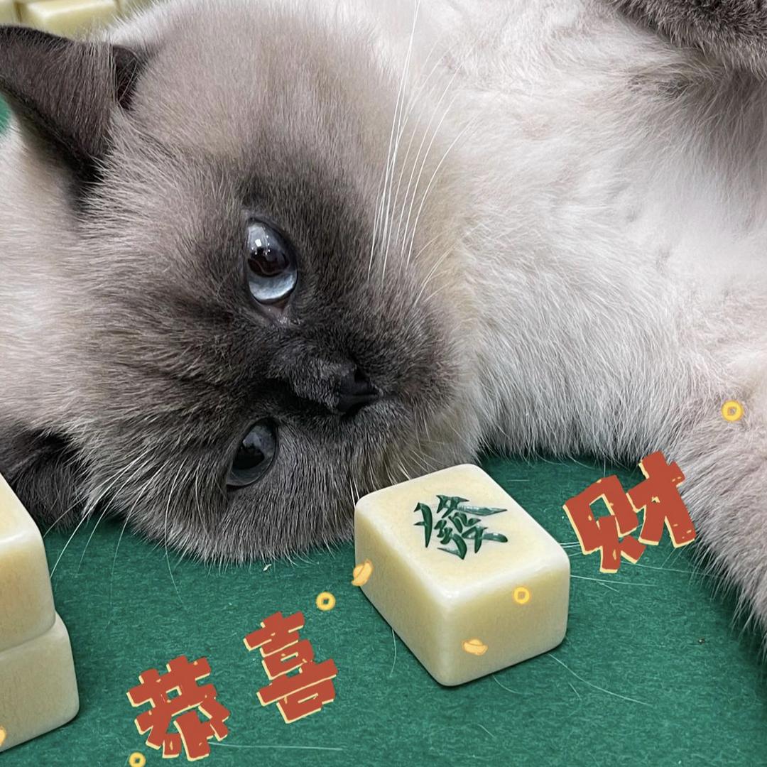 君莫愁