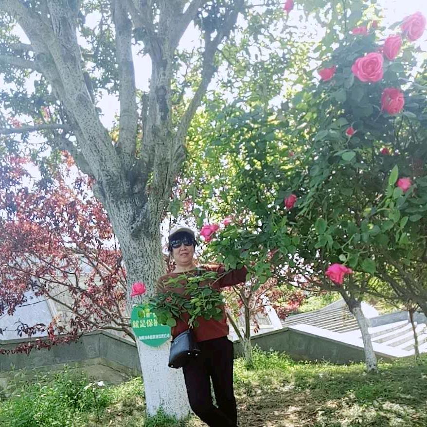 妈妈好