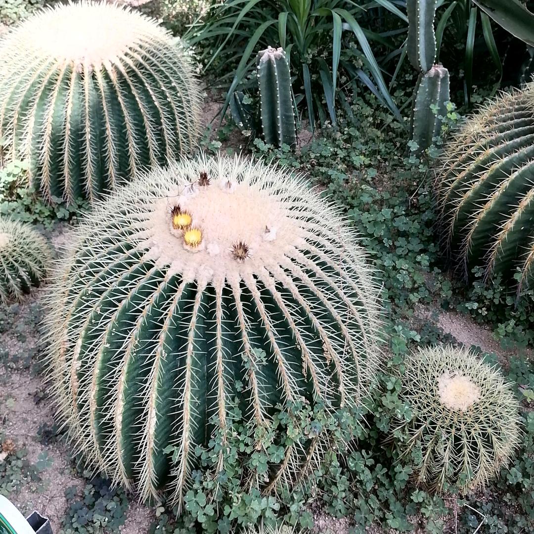 十师煤矿