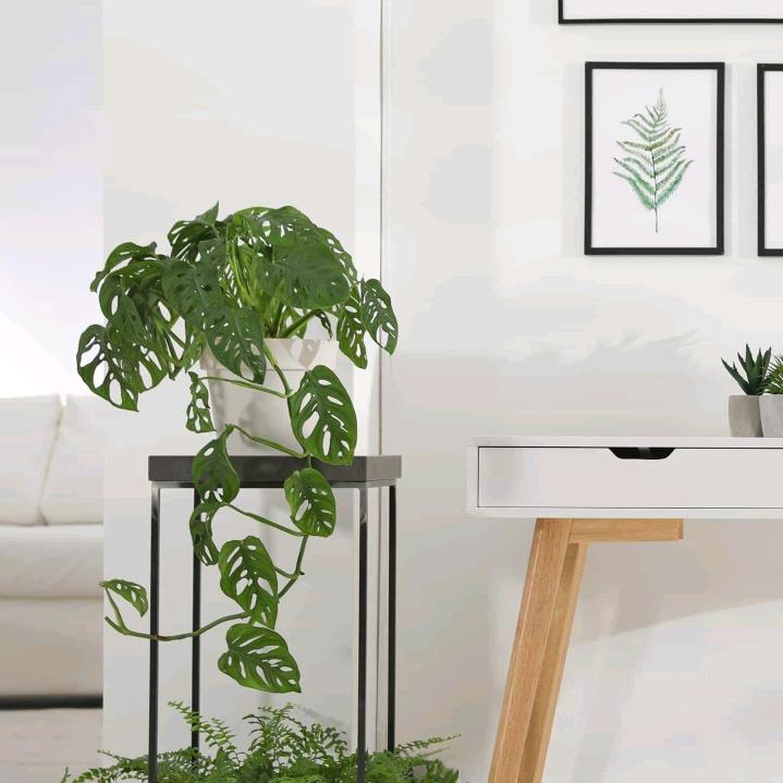 春天万物新