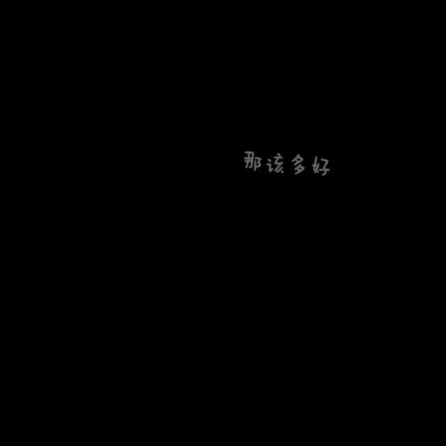会实现的承诺