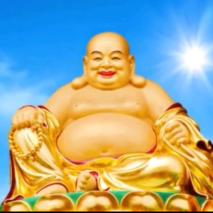 馆长好物分享