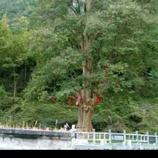 颜昌军