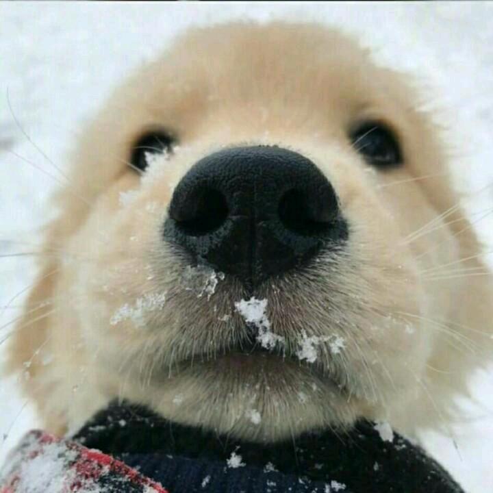 还有多少青春可以嚯嚯