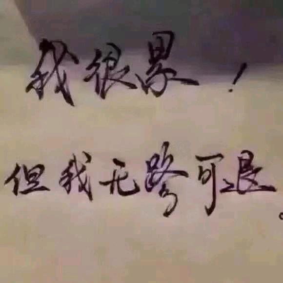 锋哥