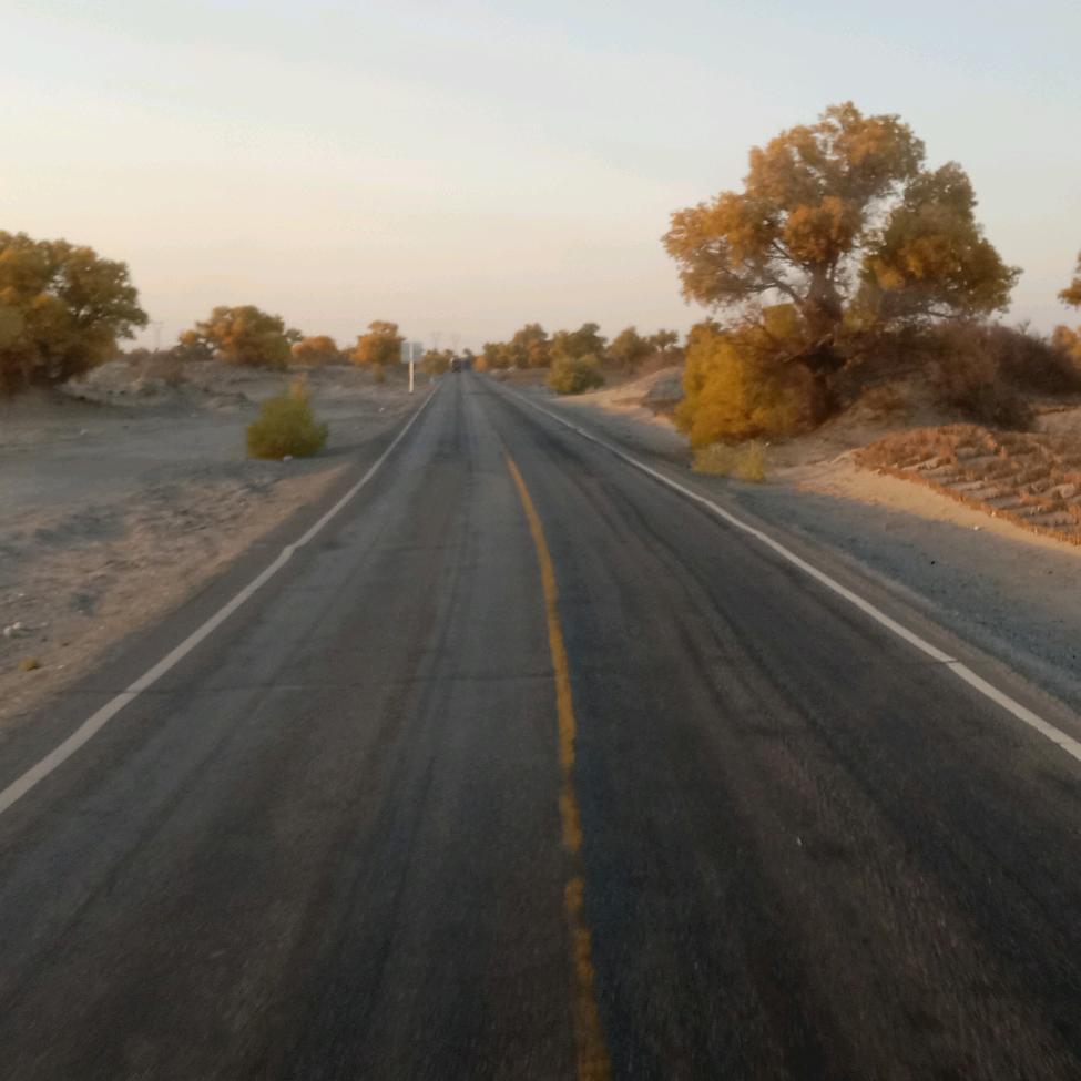 公路唱歌爱好者