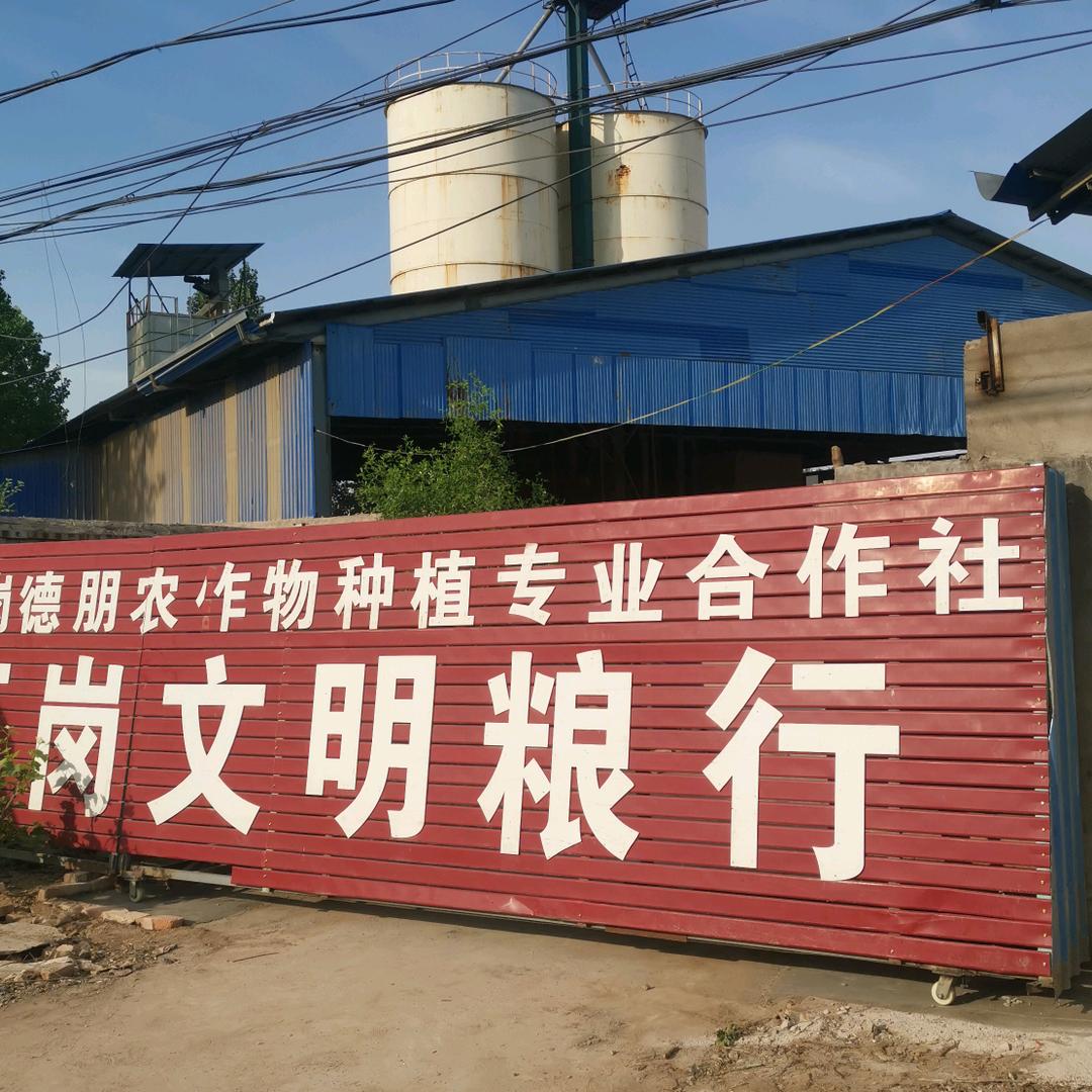 杞县色选玉米陈文明