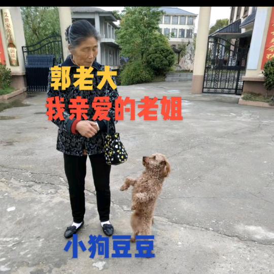 郭老头