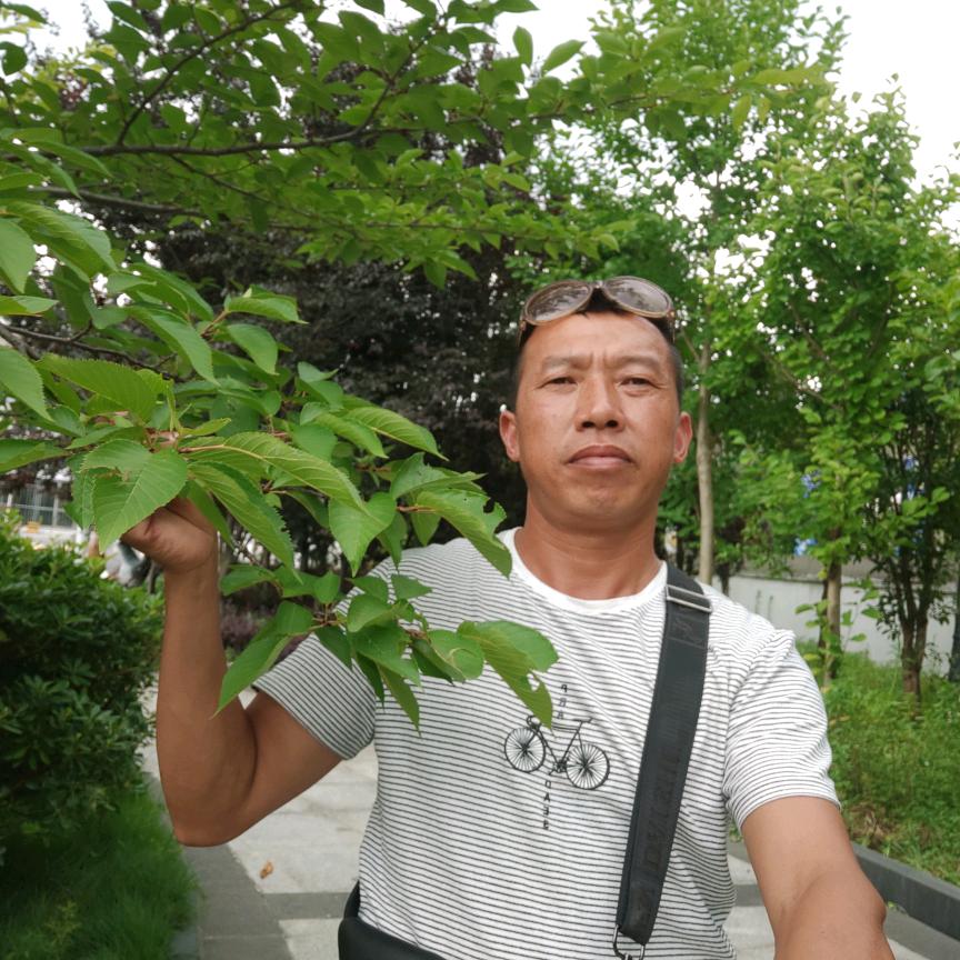 杨胜勇