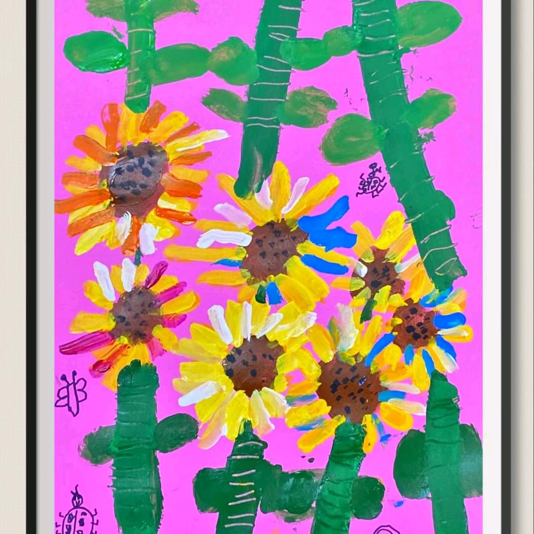 懒猫短视频训练营