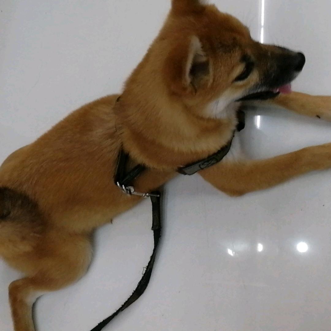 红尘作伴回头一笑