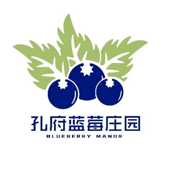 孔府蓝莓庄园 伊浩楠