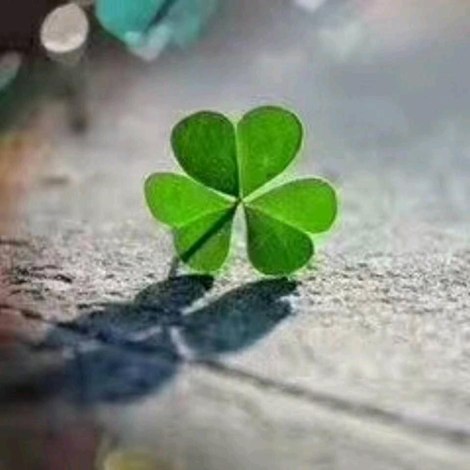 深圳市宝安区李晨渔网厂