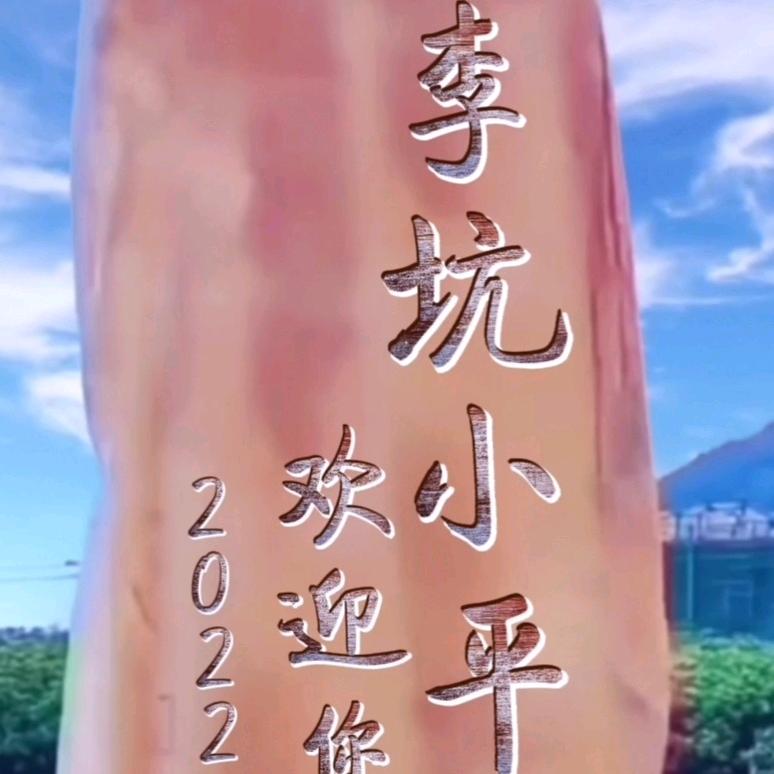 阜南哥