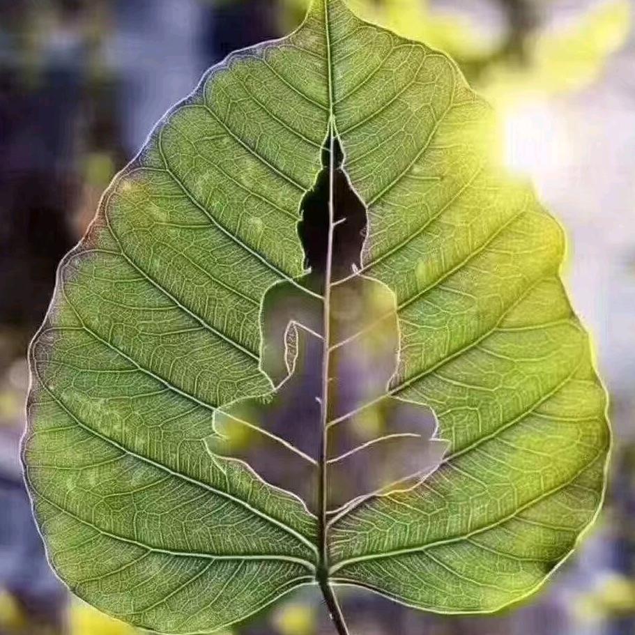 用户2423891700625