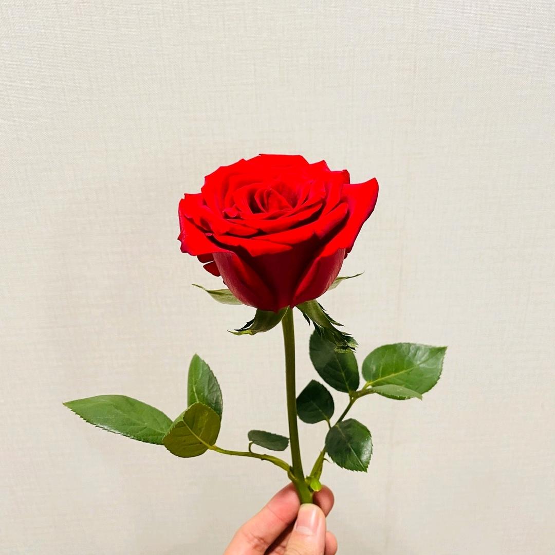 😍是妈妈呀
