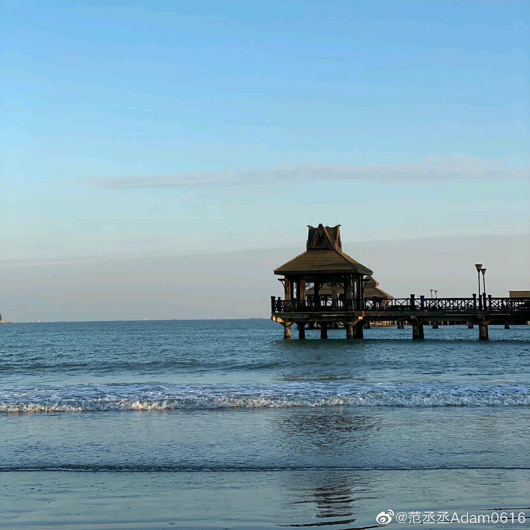 摆烂砖家猪猪侠.