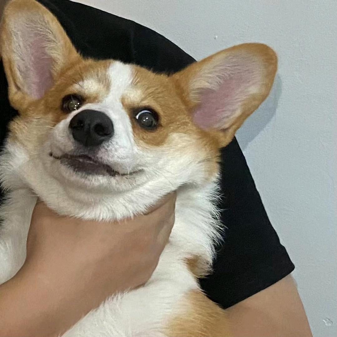 哈库呐玛塔塔