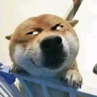 大树叶