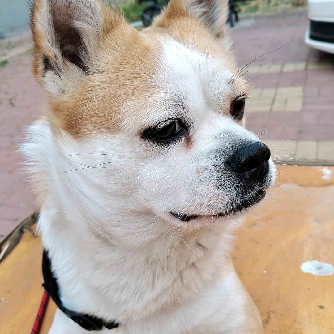 用户刘巍庭院深深深几许530