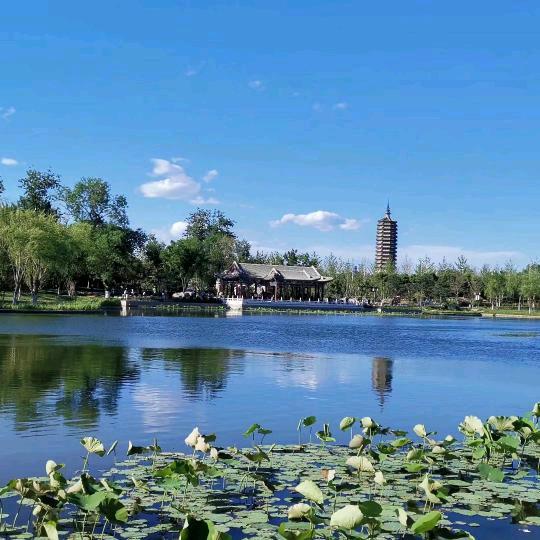 在水一方～（关注6.99联）