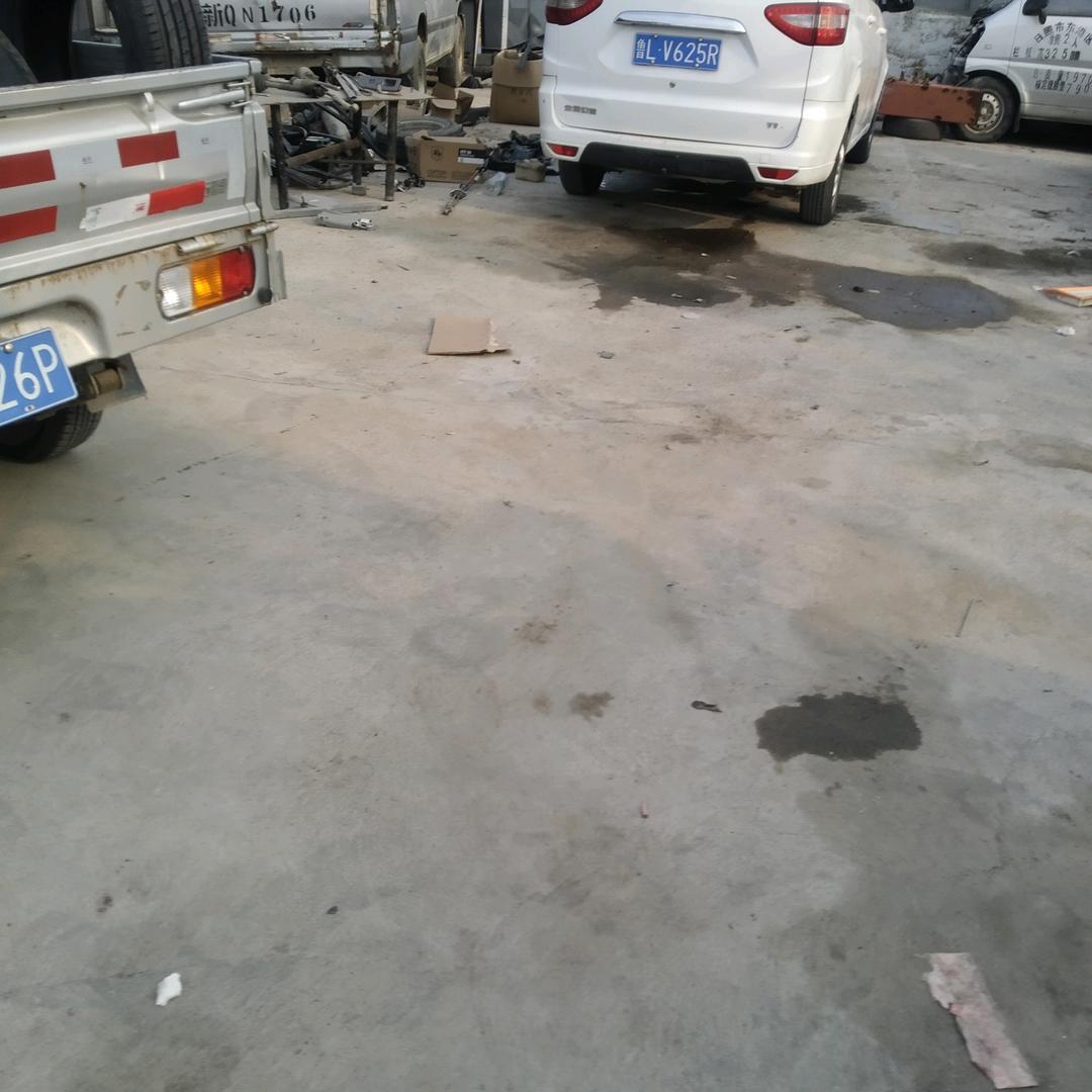 我若盛开。蝴蝶自来