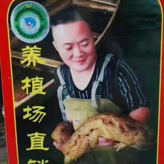 肥仔鸭嘴鱼私房菜
