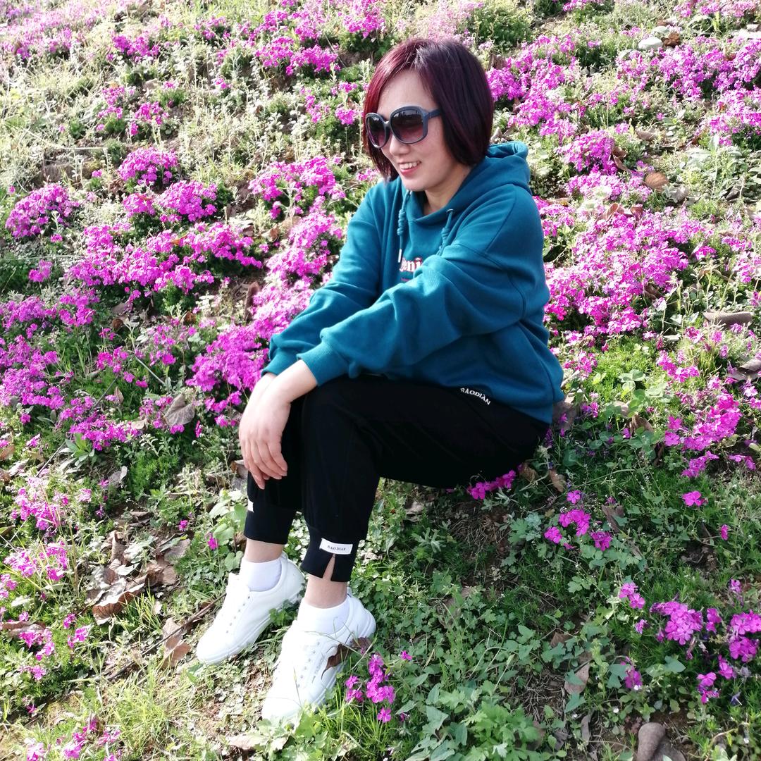 梦幻之旅