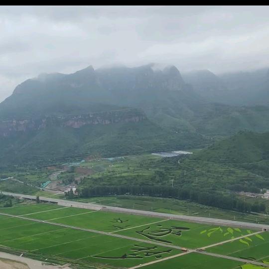 冯🌸生🇨🇳水🍀起