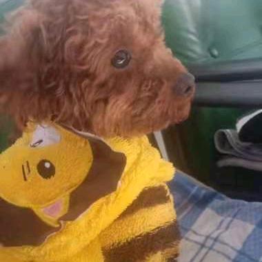 老顽童😜😜，理好美发店