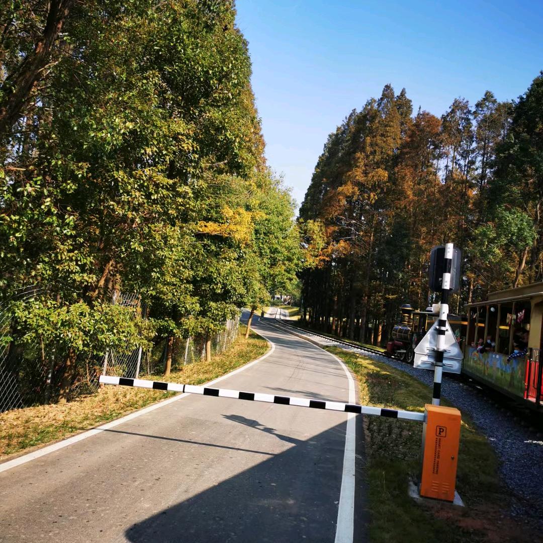 谜一般的男人ㅤ ㅤㅤㅤㅤㅤㅤ╲