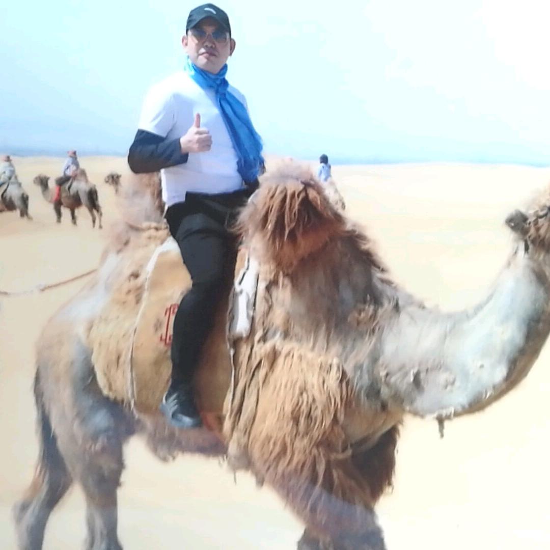 元器件电子小强