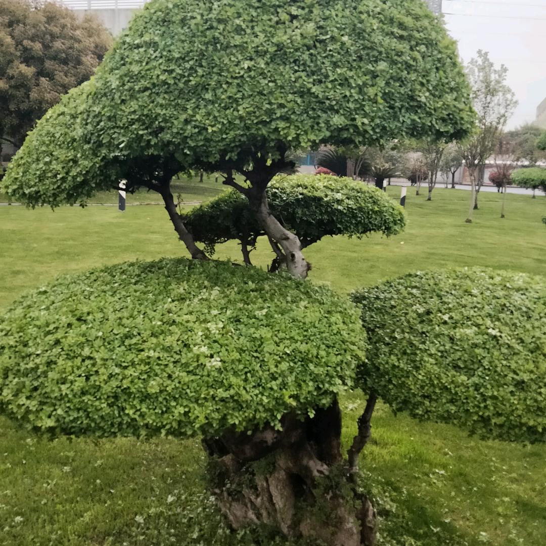 水清明白