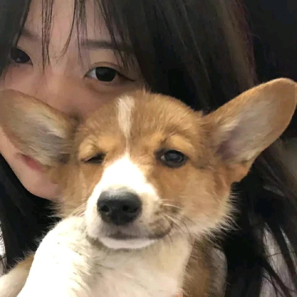 茹茹不将就
