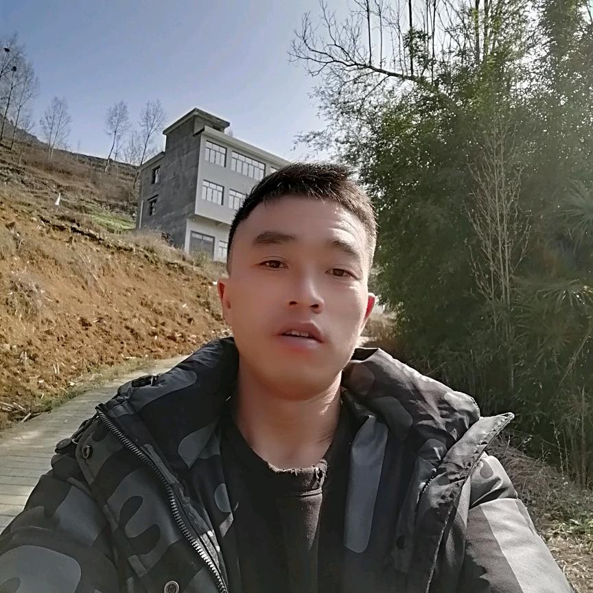 金龙七棵树组陈