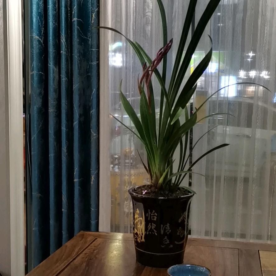 摩尔登*精品窗帘（韶关曲江店）