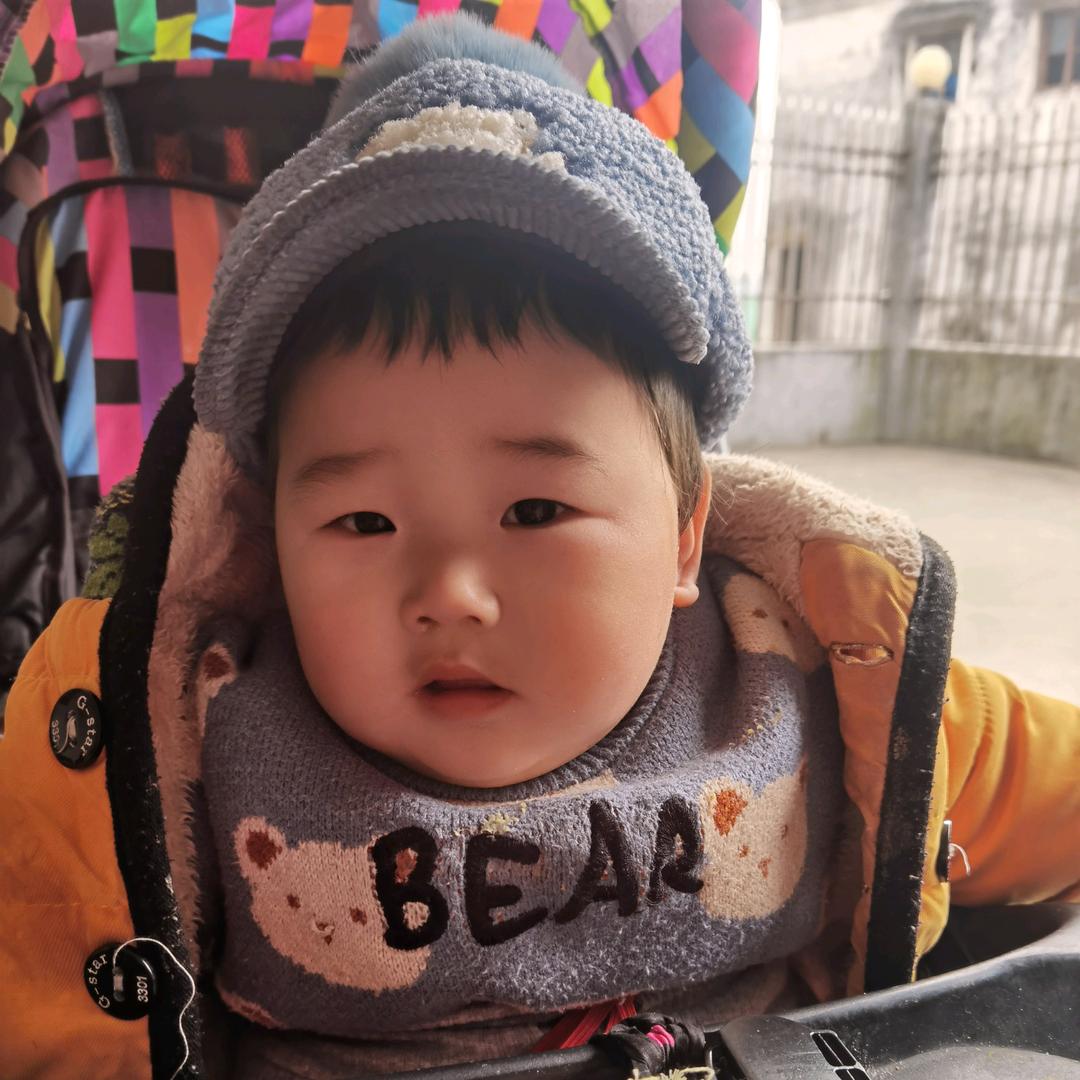 小灰🐻