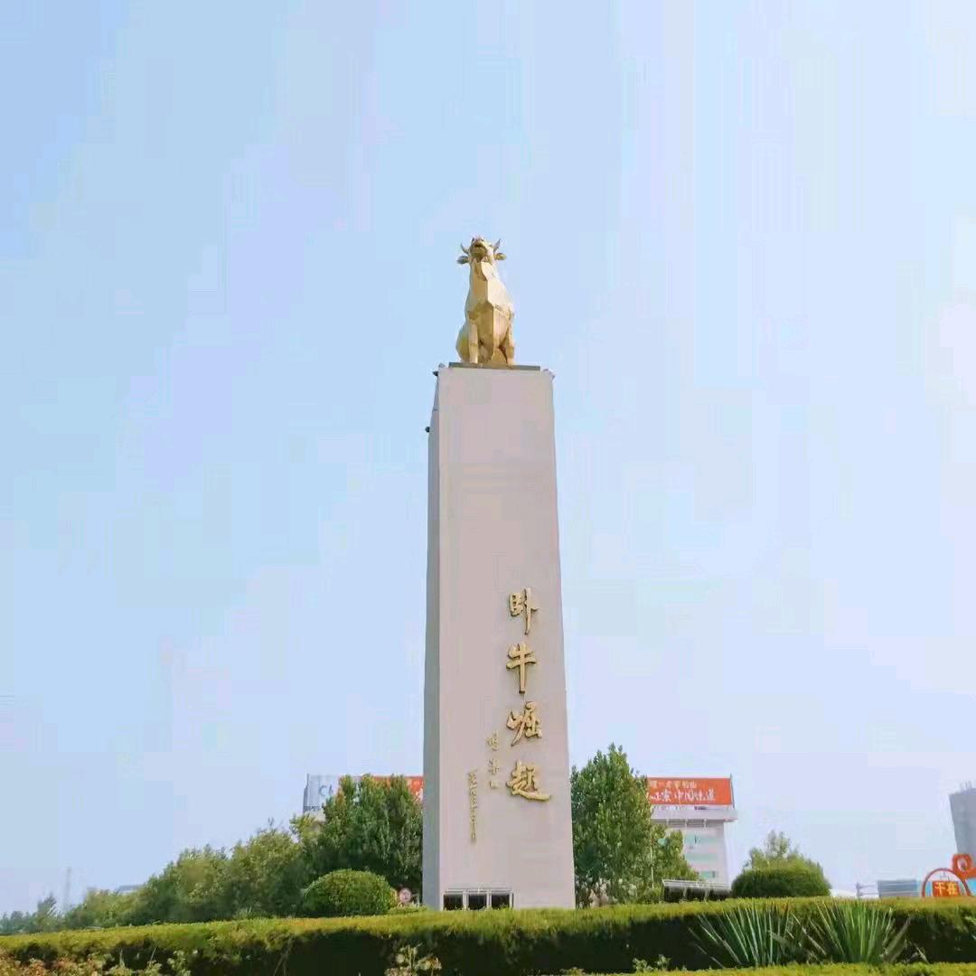 大美临邑