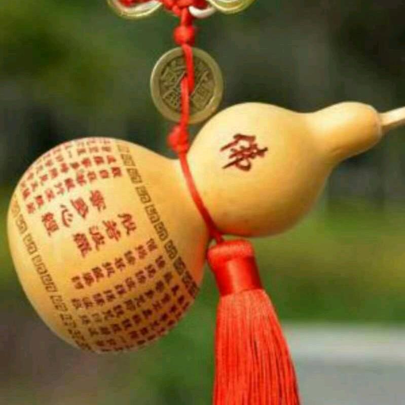小金鱼🐳