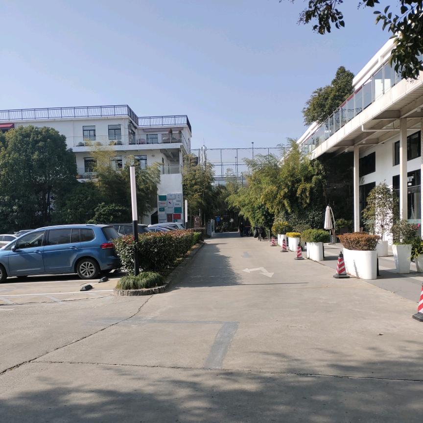 美丽，风景